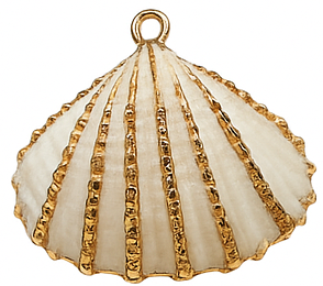 Real Clam White And Gold