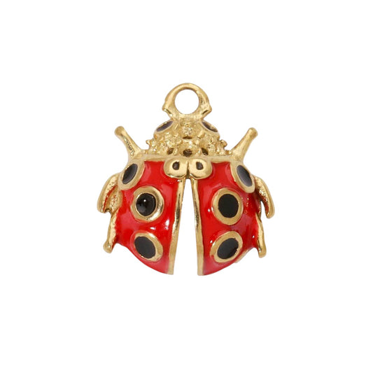LadyBug