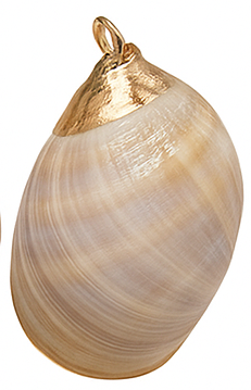 Moon Shell